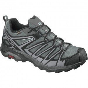 Salomon X ULTRA 3 PRIME GTX Plateadas Negras | 1679SMZGC