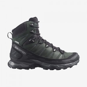 Salomon X ULTRA TREK GORE-TEX Verde | 8174IZGSM