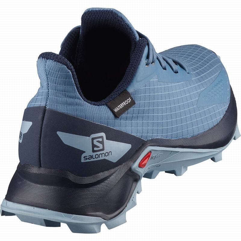 Salomon ALPHACROSS BLAST CLIMASALOMON WATERPROOF Azules Azul Marino | 1896MIPRJ