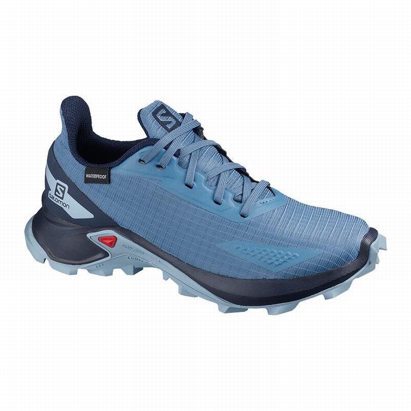 Salomon ALPHACROSS BLAST CLIMASALOMON WATERPROOF Azules Azul Marino | 1896MIPRJ