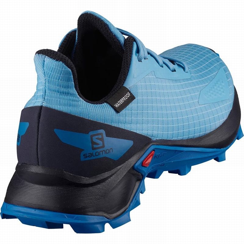 Salomon ALPHACROSS BLAST CLIMASALOMON WATERPROOF Azules Azul Marino | 2650EUCIS