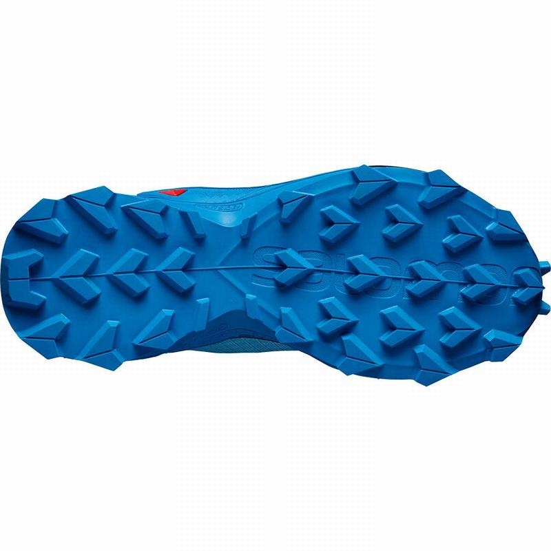 Salomon ALPHACROSS BLAST CLIMASALOMON WATERPROOF Azules Azul Marino | 2650EUCIS