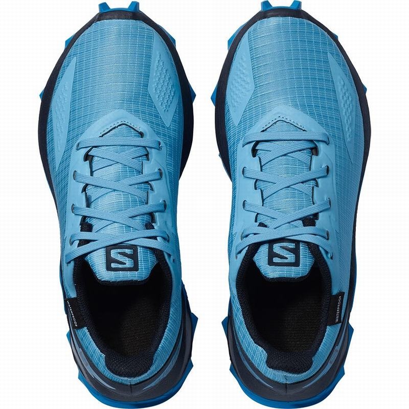 Salomon ALPHACROSS BLAST CLIMASALOMON WATERPROOF Azules Azul Marino | 2650EUCIS