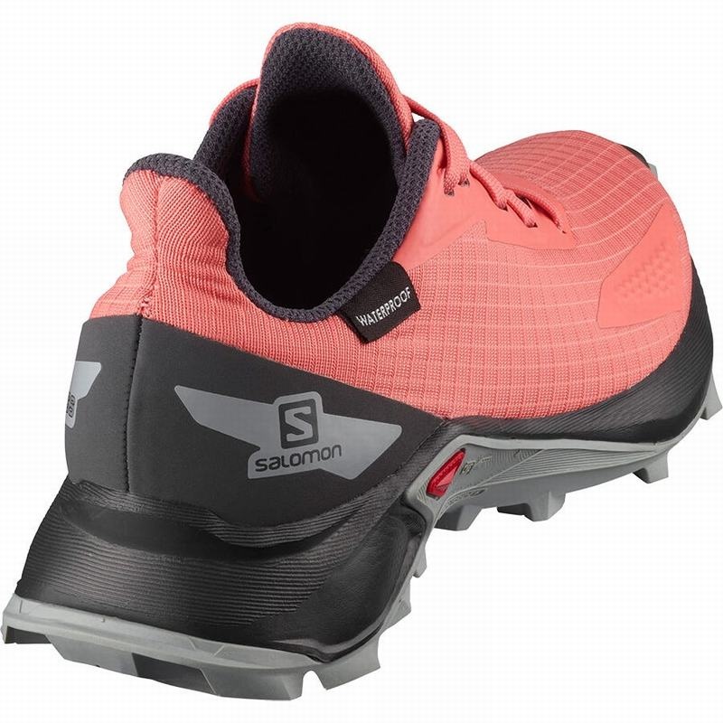 Salomon ALPHACROSS BLAST CLIMASALOMON WATERPROOF Coral | 3820XPSIF