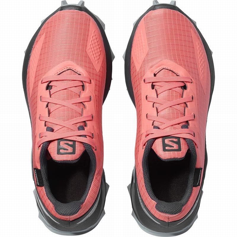 Salomon ALPHACROSS BLAST CLIMASALOMON WATERPROOF Coral | 3820XPSIF