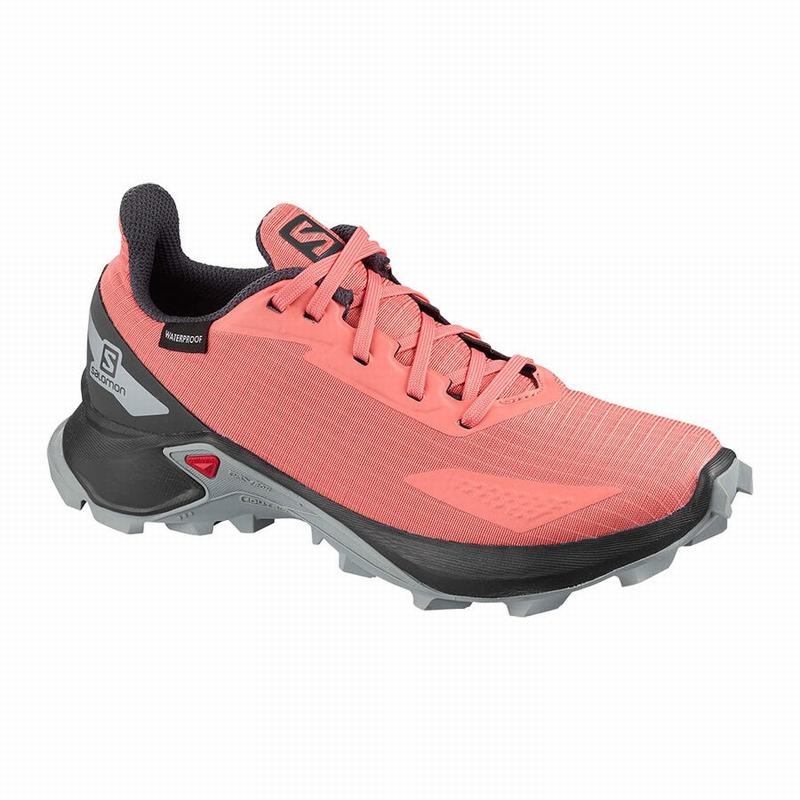 Salomon ALPHACROSS BLAST CLIMASALOMON WATERPROOF Coral | 3820XPSIF