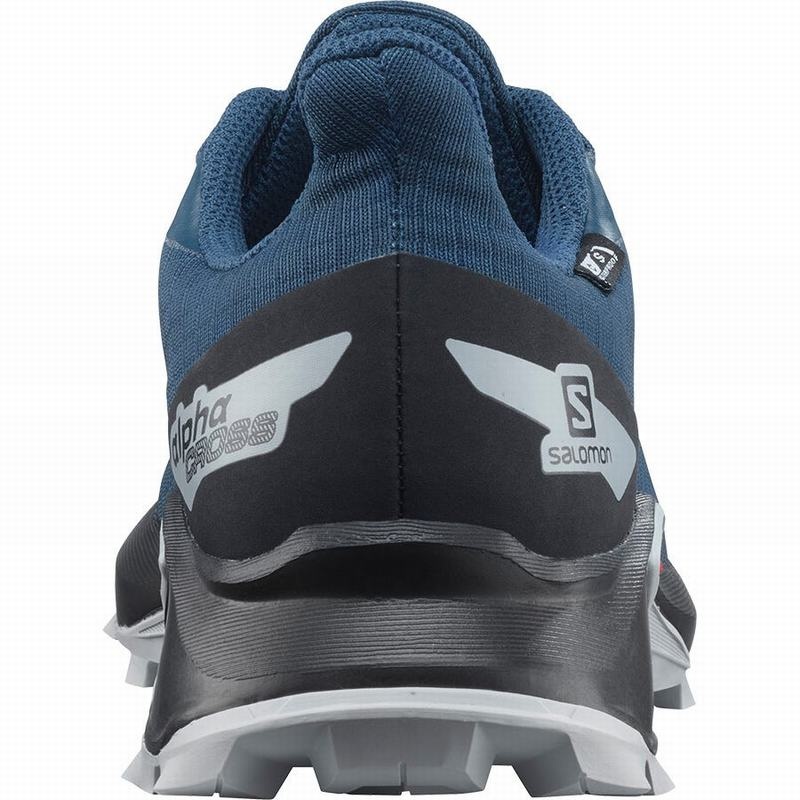 Salomon ALPHACROSS BLAST CLIMASALOMON WATERPROOF Azul Marino Negras | 6928KXZCG