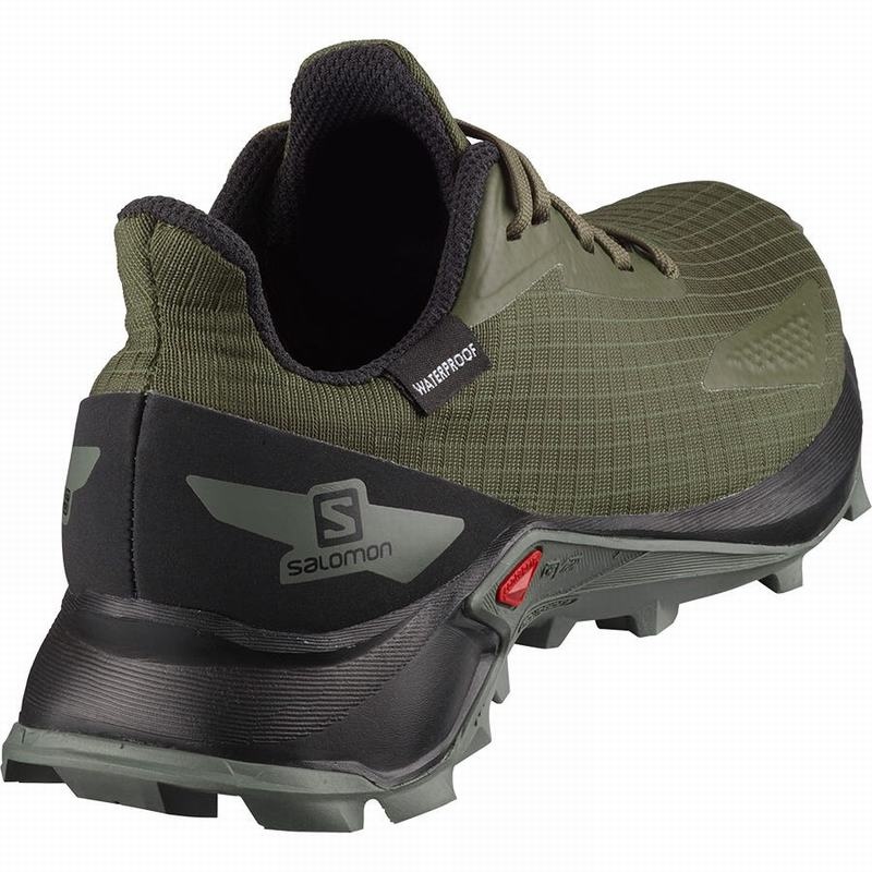 Salomon ALPHACROSS BLAST CLIMASALOMON WATERPROOF Verde Oliva Negras | 4067AWLSB