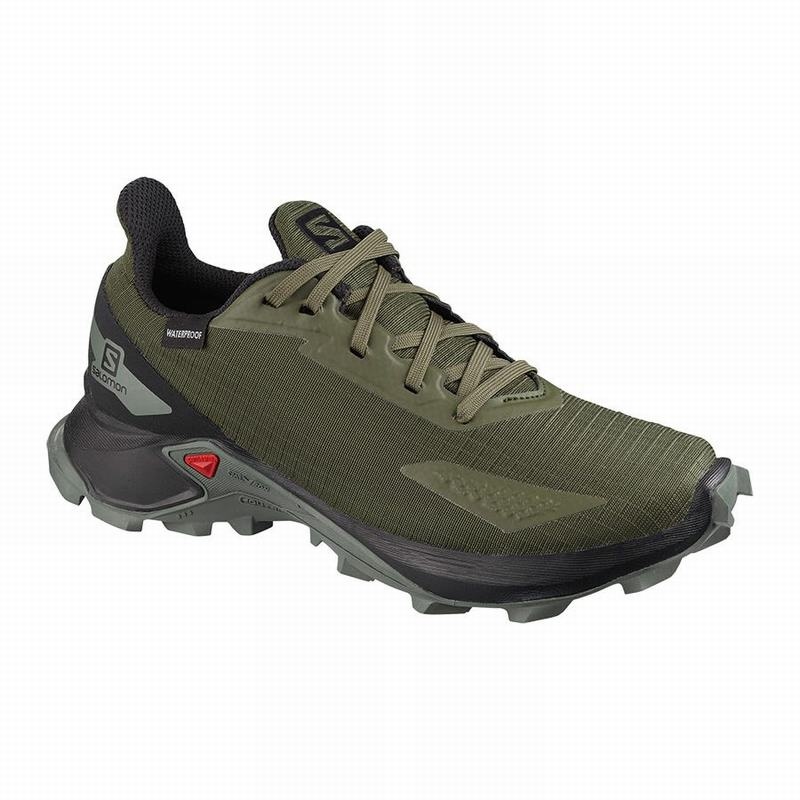 Salomon ALPHACROSS BLAST CLIMASALOMON WATERPROOF Verde Oliva Negras | 4067AWLSB