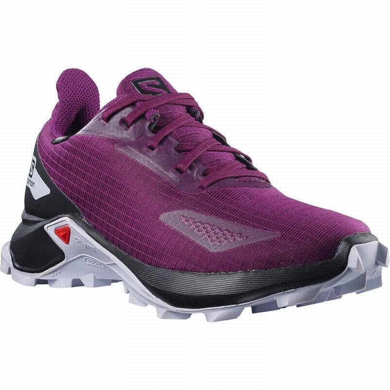 Salomon ALPHACROSS BLAST CLIMASALOMON WATERPROOF Moradas Negras | 2530RGWAE