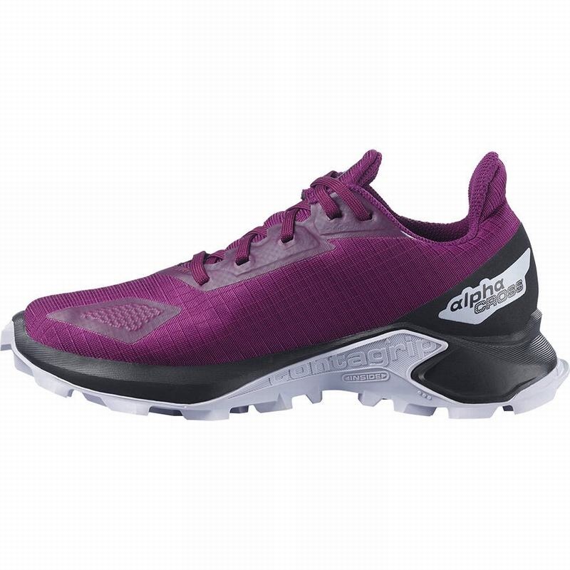 Salomon ALPHACROSS BLAST CLIMASALOMON WATERPROOF Moradas Negras | 2530RGWAE