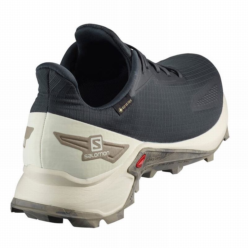 Salomon ALPHACROSS BLAST GTX Gris Oscuro | 8659DMKYG