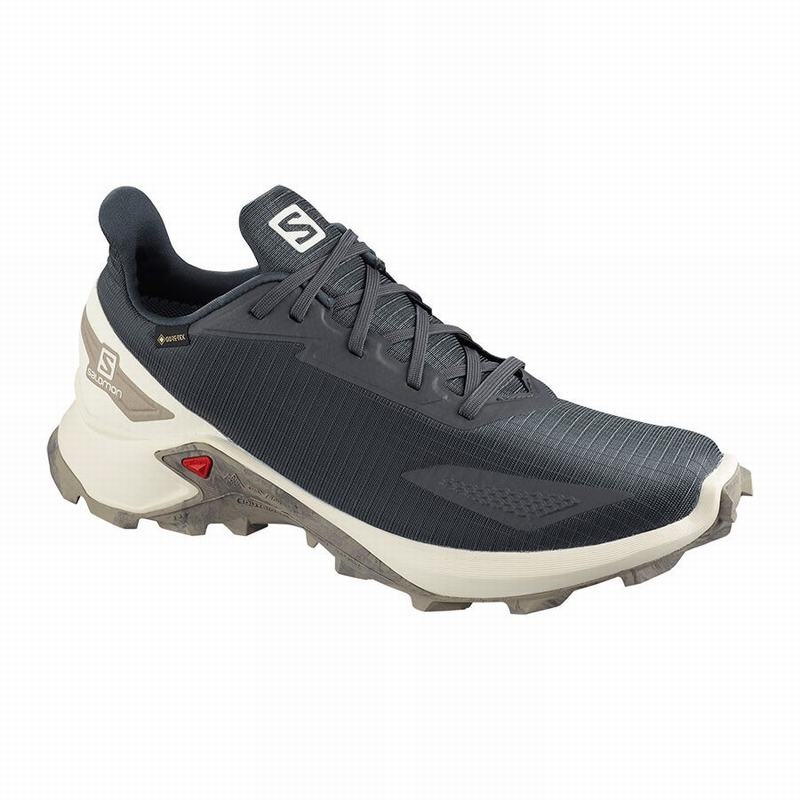 Salomon ALPHACROSS BLAST GTX Gris Oscuro | 8659DMKYG