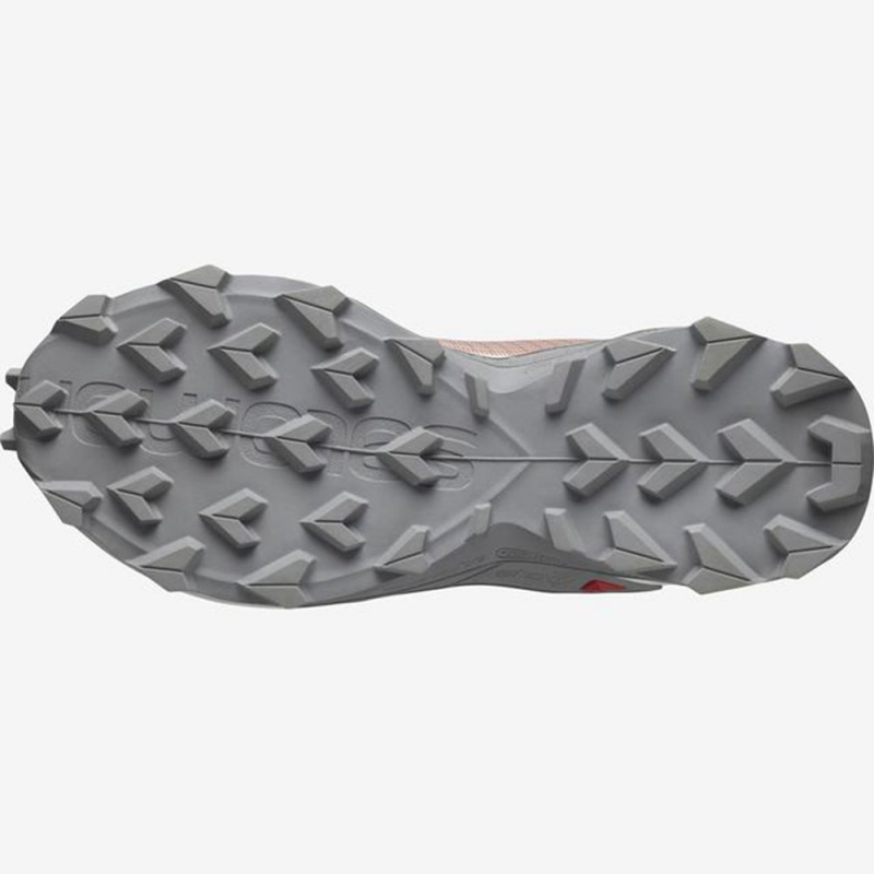 Salomon ALPHACROSS BLAST Gray | 3208KARYE