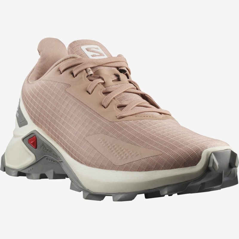 Salomon ALPHACROSS BLAST Gray | 3208KARYE