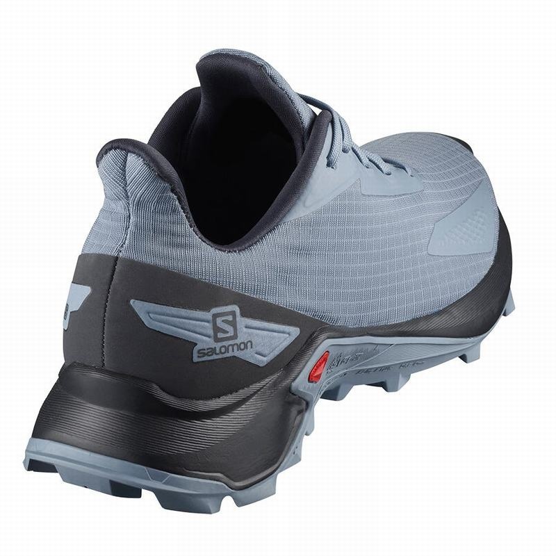 Salomon ALPHACROSS BLAST Gris Azules Gris Azules | 4082HXIJM