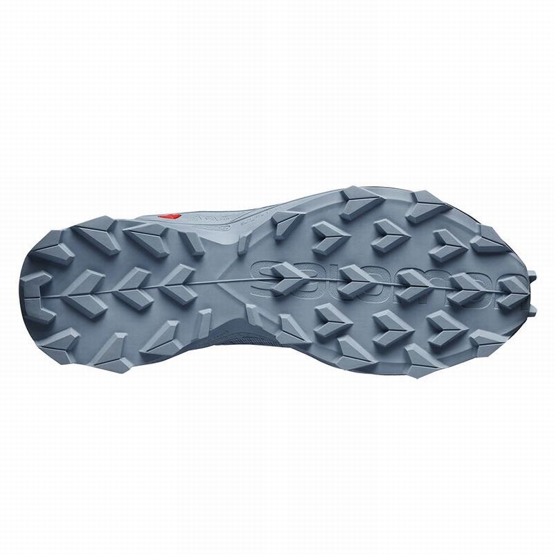 Salomon ALPHACROSS BLAST Gris Azules Gris Azules | 4082HXIJM