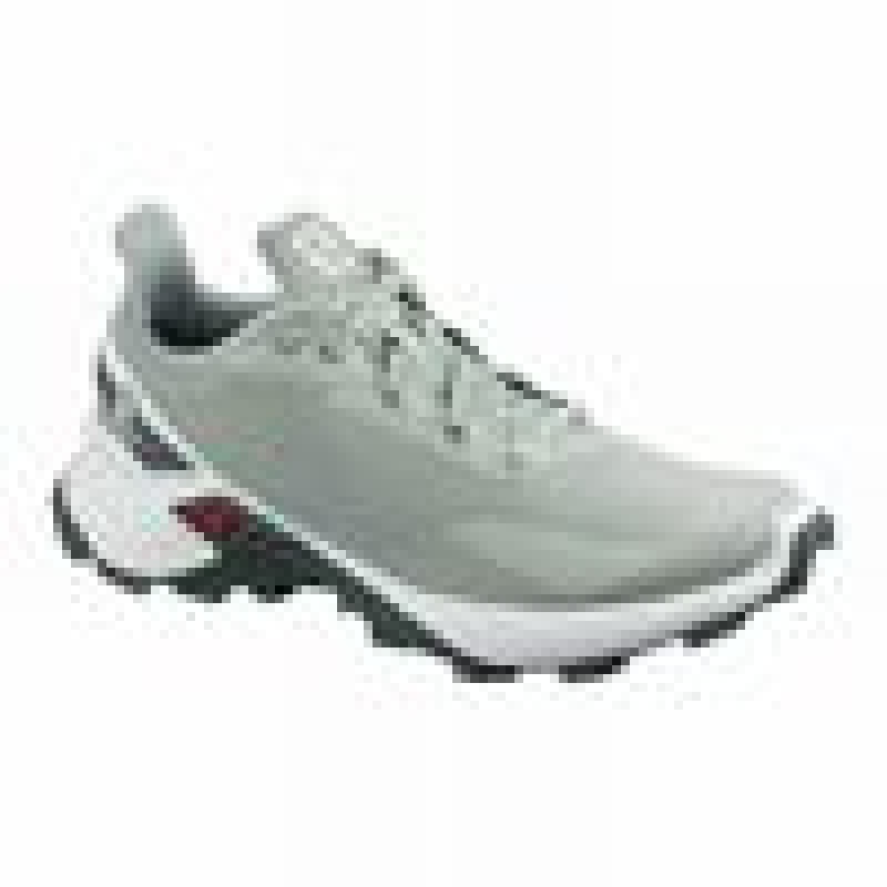 Salomon ALPHACROSS BLAST Gris Blancas | 1369YSNDU