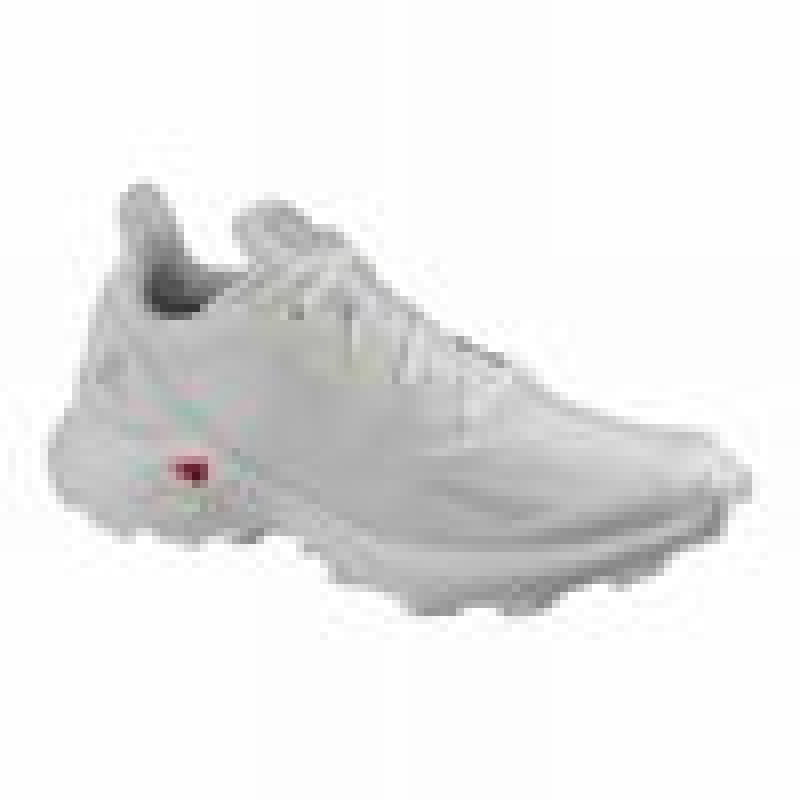 Salomon ALPHACROSS BLAST Gris Blancas | 1369YSNDU