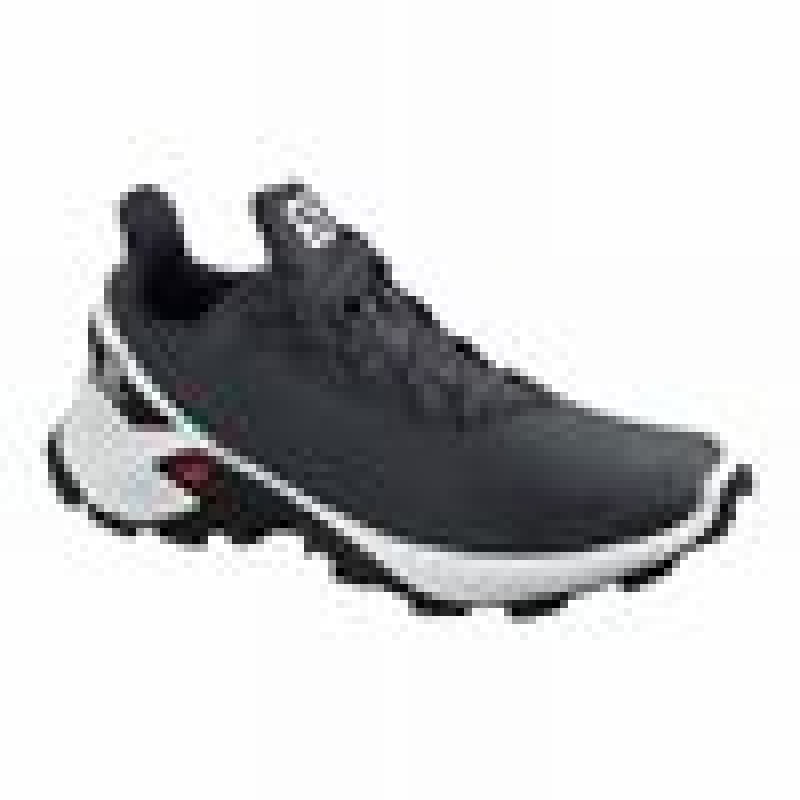 Salomon ALPHACROSS BLAST Gris Blancas | 1369YSNDU