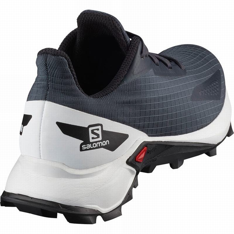 Salomon ALPHACROSS BLAST Gris Blancas | 6517CSVMP