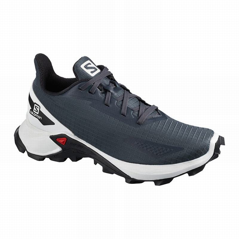 Salomon ALPHACROSS BLAST Gris Blancas | 6517CSVMP