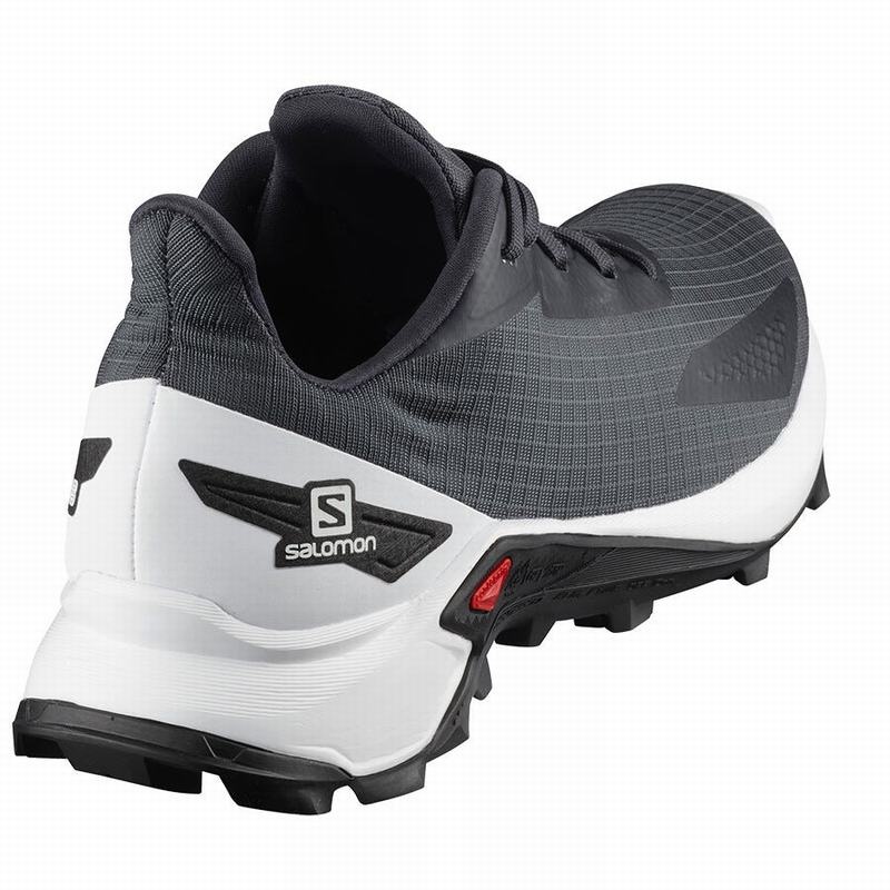 Salomon ALPHACROSS BLAST Gris Blancas | 6794MZENI