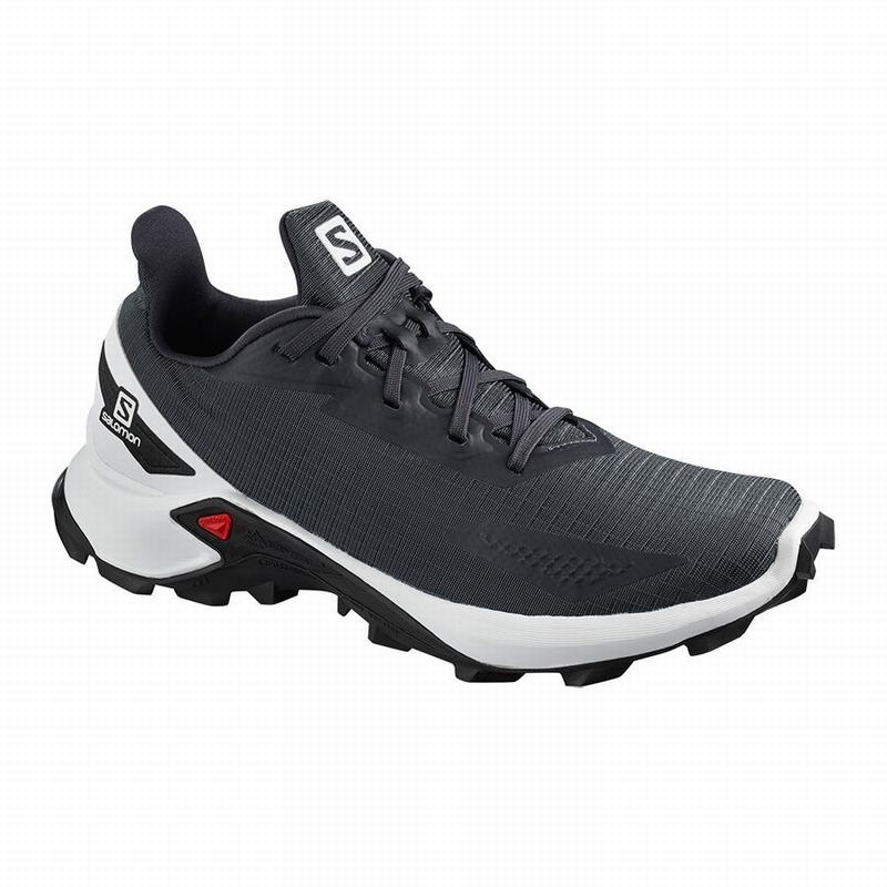 Salomon ALPHACROSS BLAST Gris Blancas | 6794MZENI