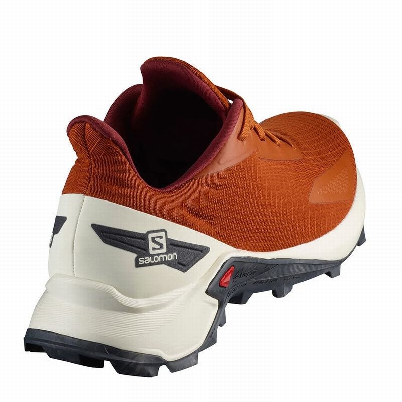 Salomon ALPHACROSS BLAST Naranjas | 9273IAMXB