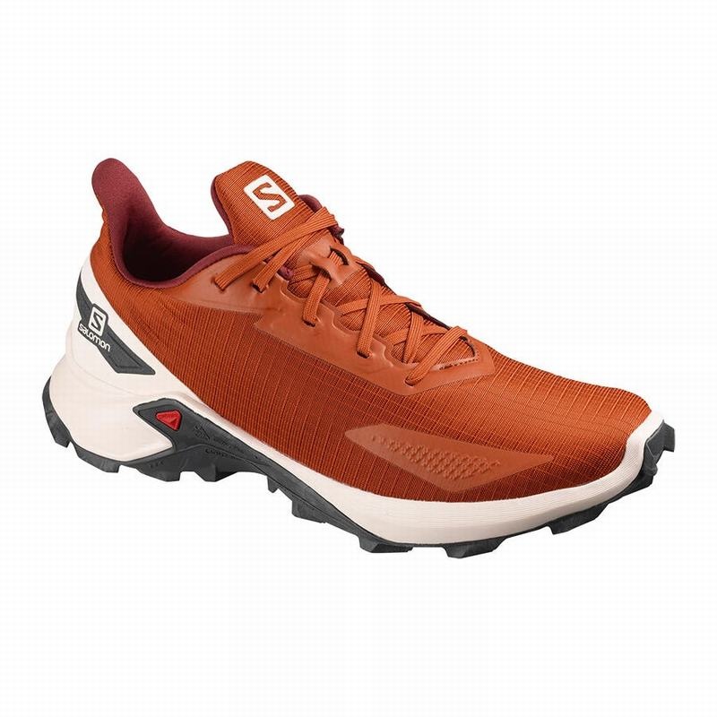 Salomon ALPHACROSS BLAST Naranjas | 9273IAMXB