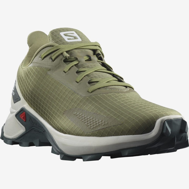 Salomon ALPHACROSS BLAST Verde | 9561VWIRE