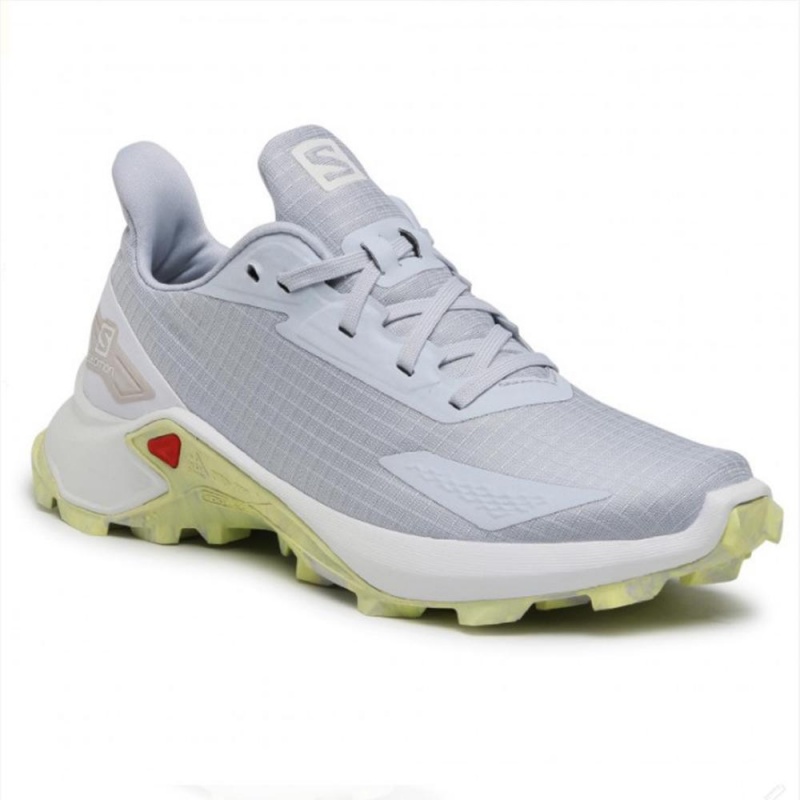 Salomon ALPHACROSS BLAST W Gris | 1047MTNJL