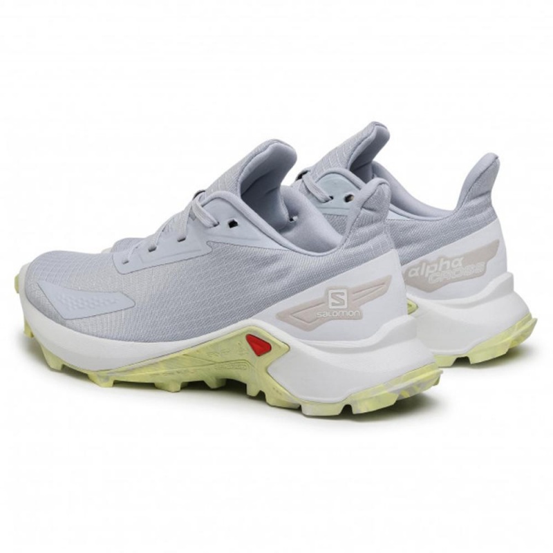 Salomon ALPHACROSS BLAST W Gris | 1047MTNJL