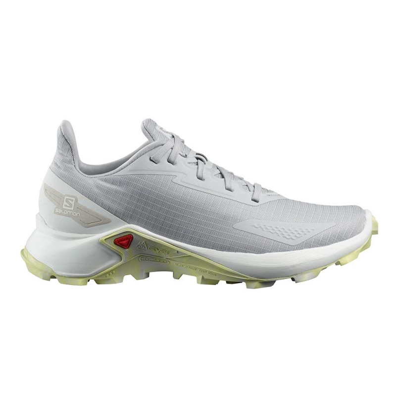 Salomon ALPHACROSS BLAST W Gris | 1047MTNJL