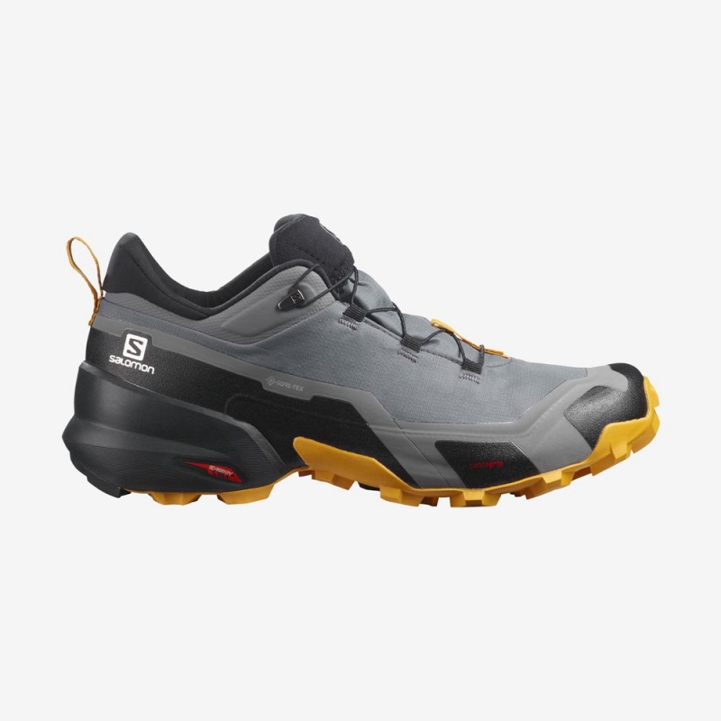 Salomon CROSS HIKE GORE-TEX Gris | 8156GACPI