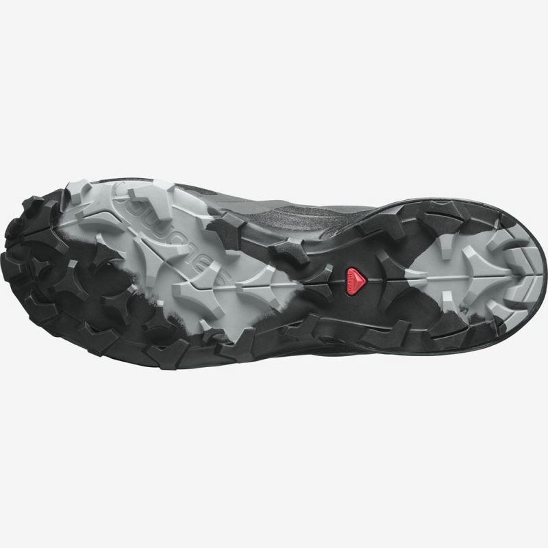 Salomon CROSS HIKE GORE-TEX Negras | 8309ZGPMN