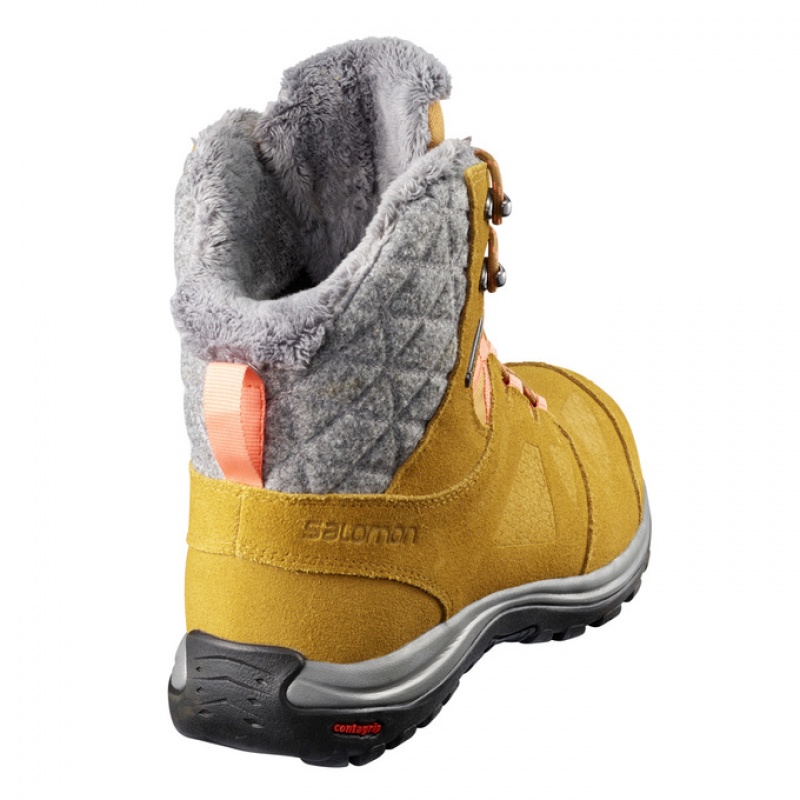 Salomon ELLIPSE GTX Gris Oscuro | 9582PUSWK