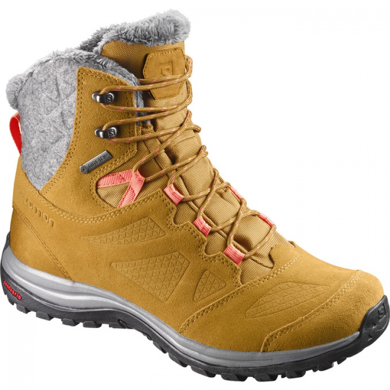 Salomon ELLIPSE GTX Marrones | 4187ZBWCF