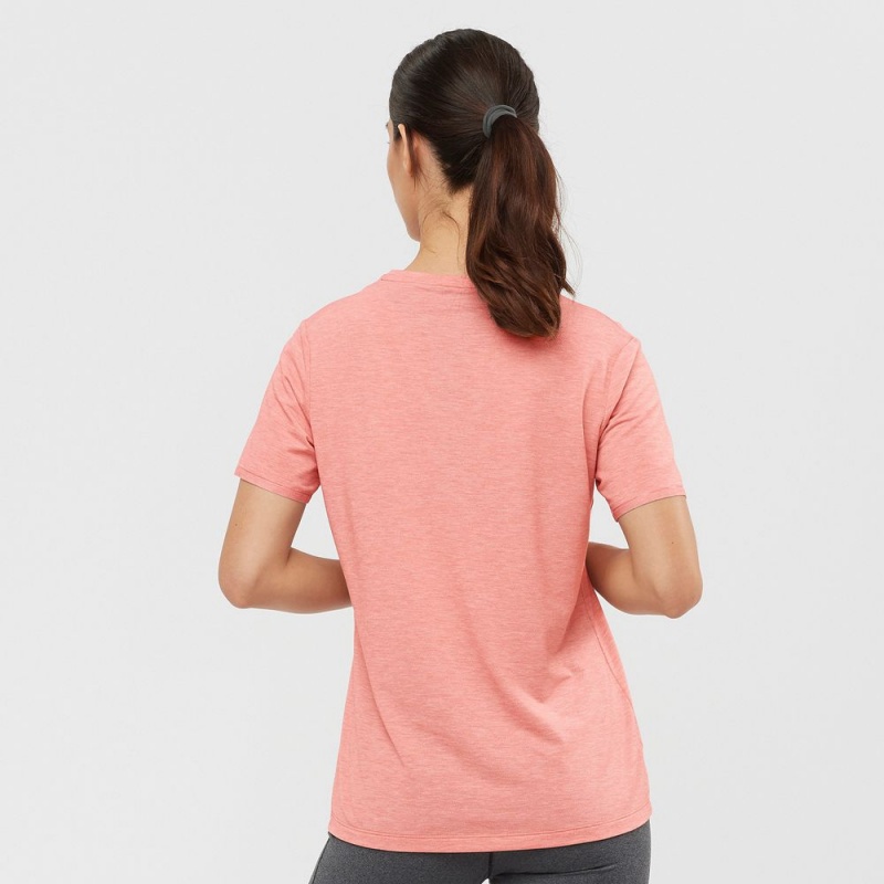 Salomon ESSENTIAL TENCEL Coral | 2914YLZKS