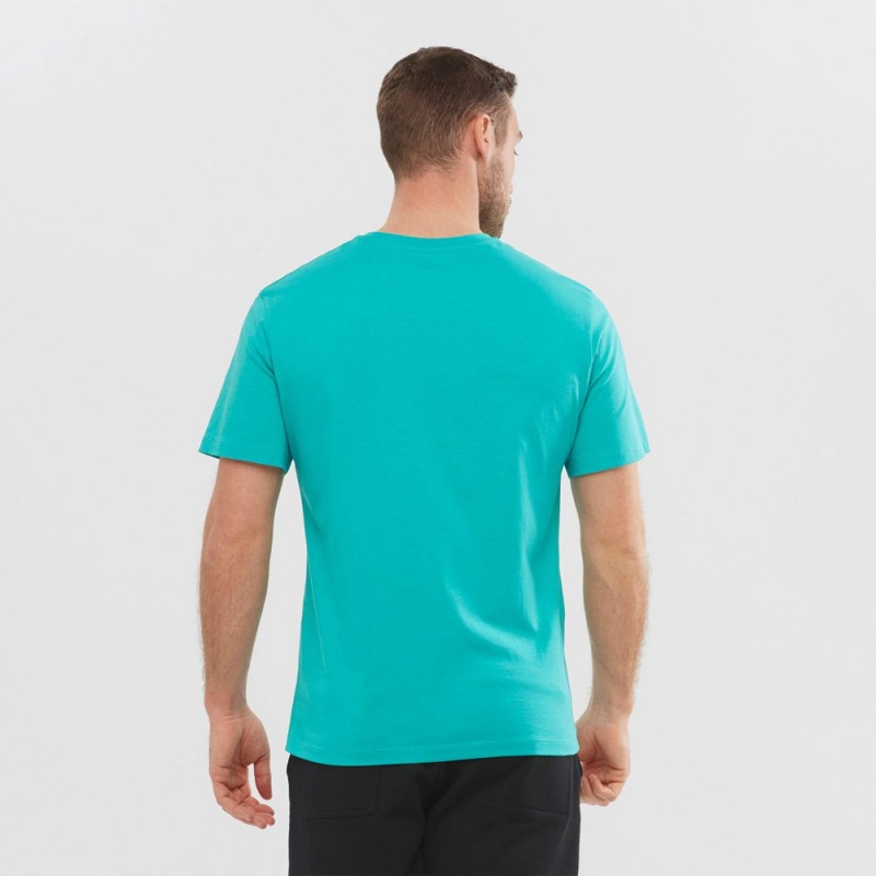 Salomon OUTLIFE GRAPHIC DISRUPTED LOGO SS M Corta Sleeve Turquesa | 9016NZHWS