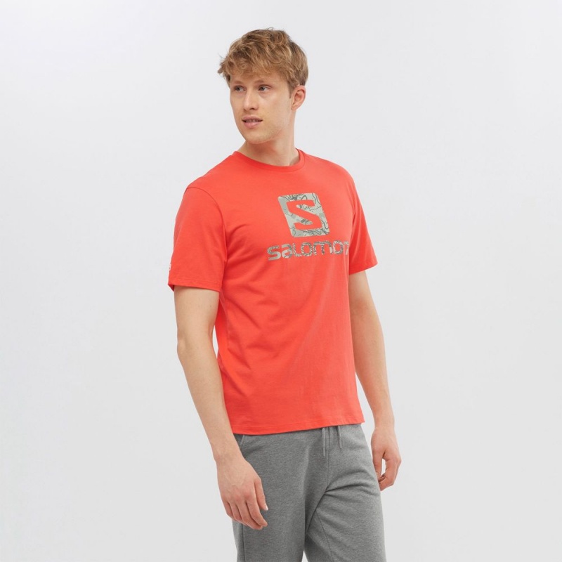 Salomon OUTLIFE LOGO Corta Sleeve Naranjas | 3501RFIWU