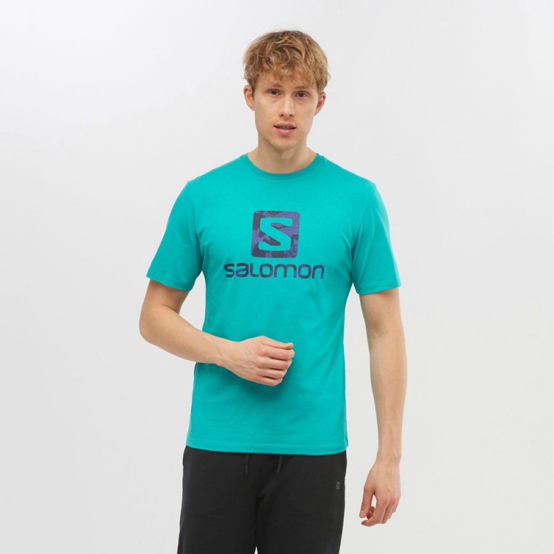 Salomon OUTLIFE LOGO Corta Sleeve Verde Menta | 3870WGSQY