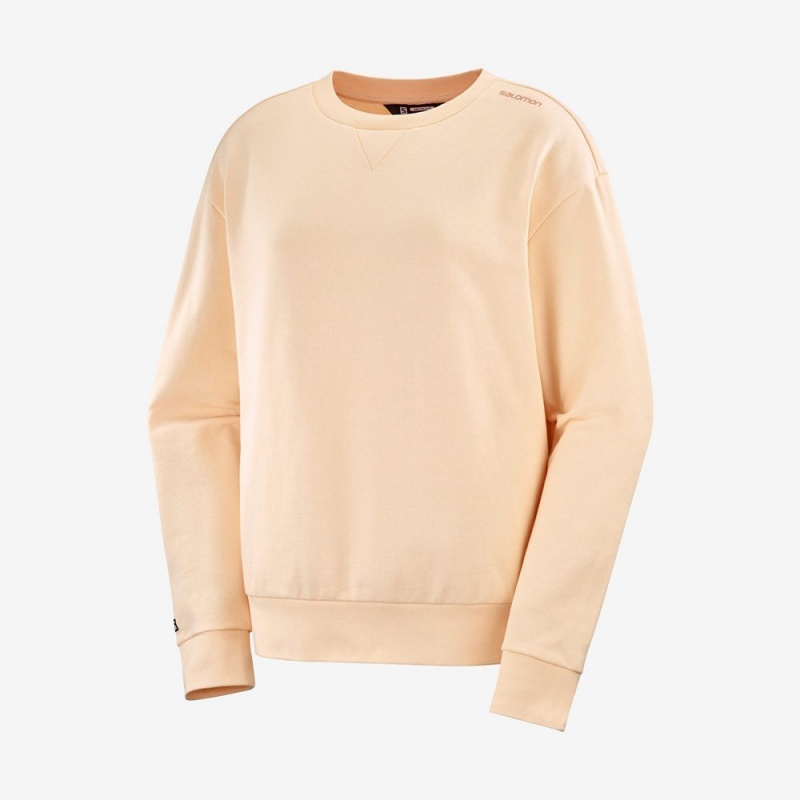 Salomon OUTLIFE SUMMER Crewneck Beige | 4625ZKJVI