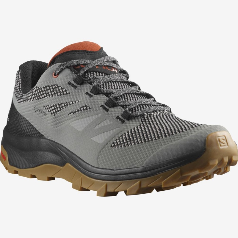 Salomon OUTLINE GORE-TEX Gris | 0123UGTYD