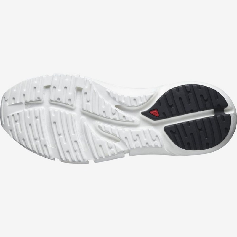 Salomon PREDICT 2 Blancas Negras | 5827OLFZH