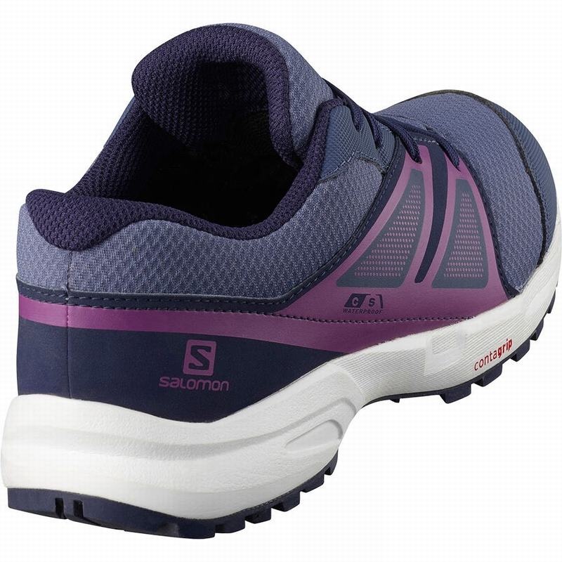 Salomon SENSE CLIMASALOMON WATERPROOF Azules | 2976BQOGV