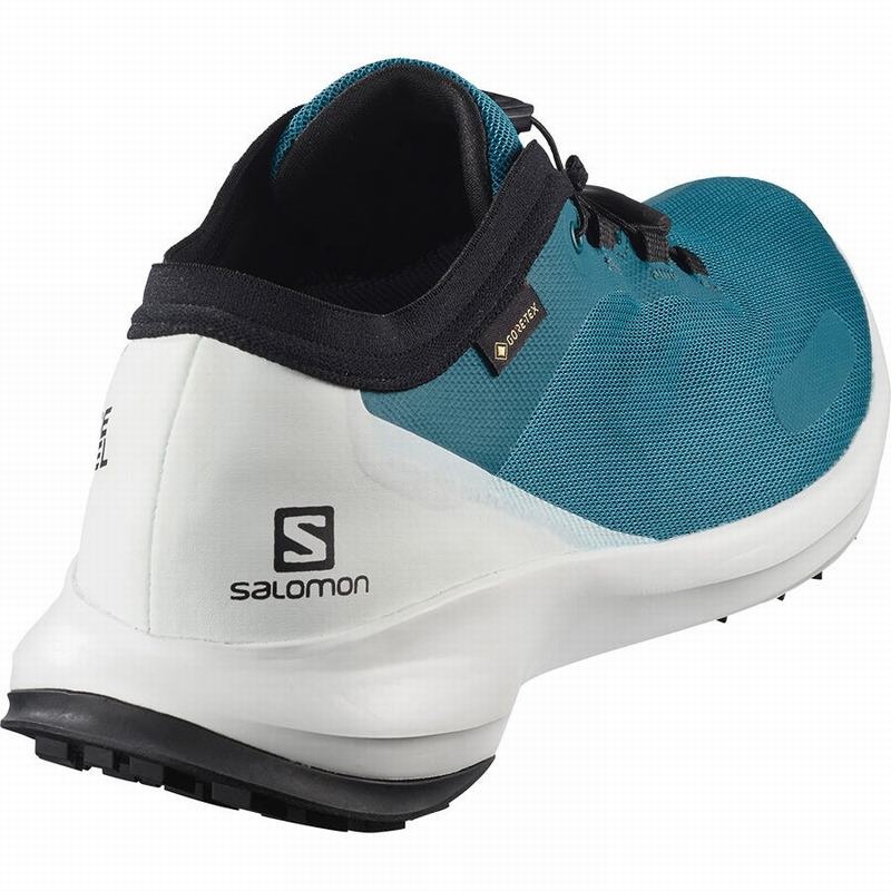 Salomon SENSE FEEL GTX Azules | 1429VOLIG