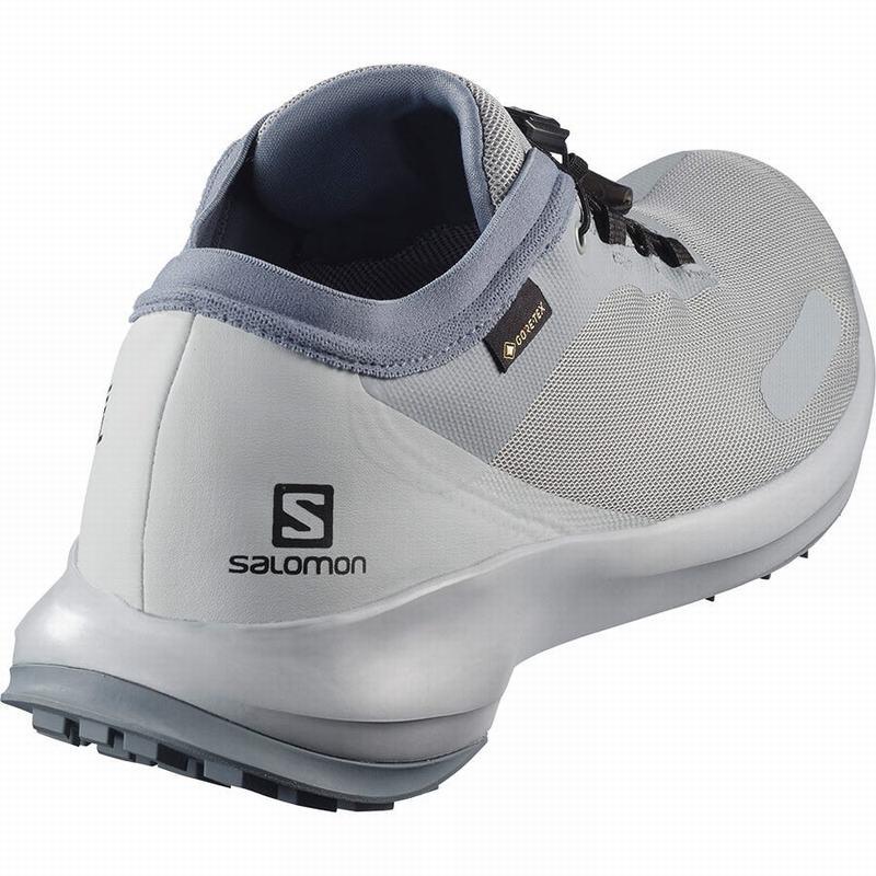 Salomon SENSE FEEL GTX Gris | 3421NORAL