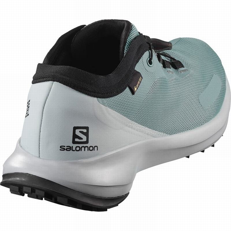 Salomon SENSE FEEL GTX W Verde Azules | 8216DJLFA