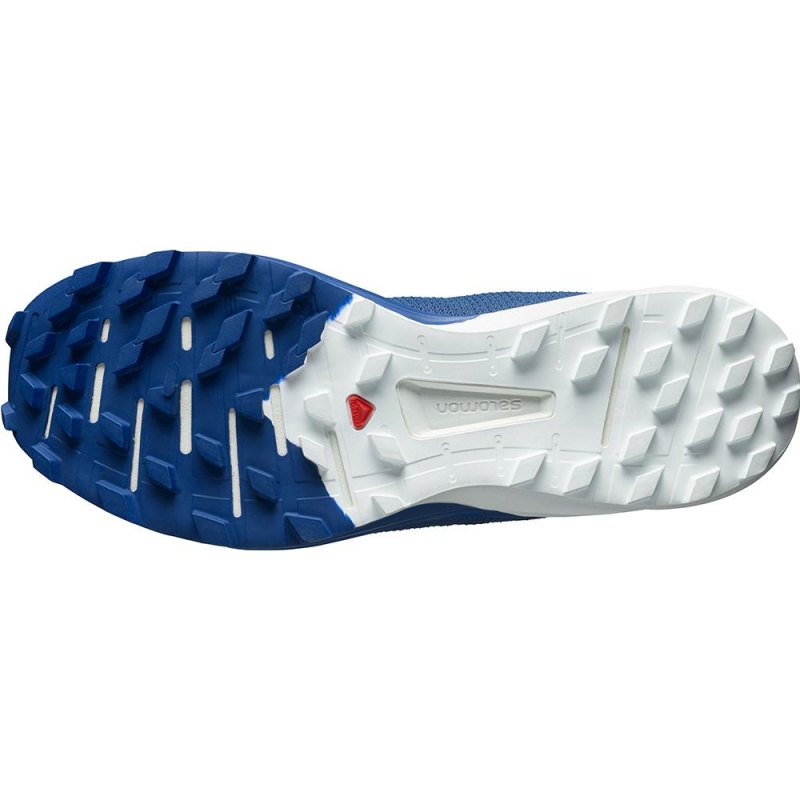 Salomon SENSE PRO 4 Azul Marino | 9670BYJLT